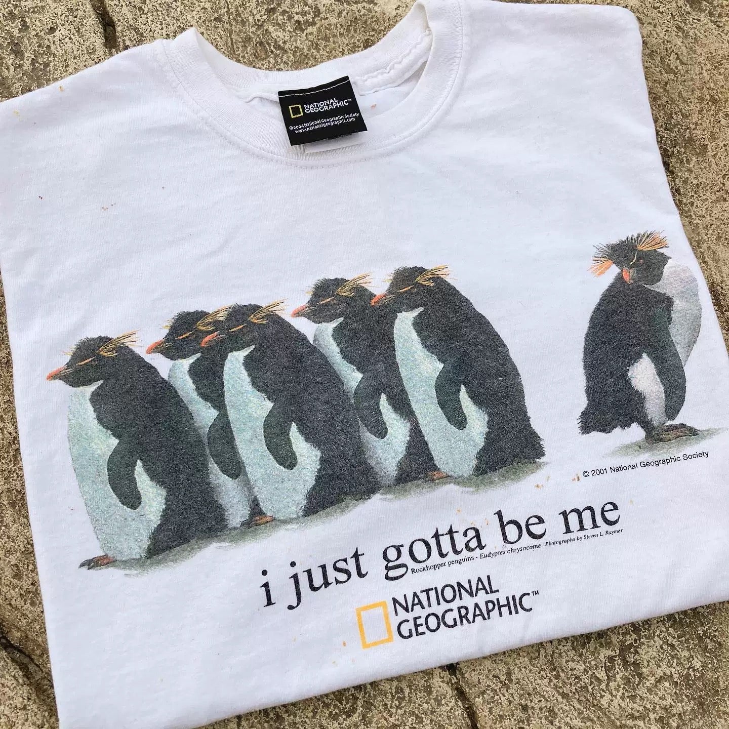 I just gotta be me shirt