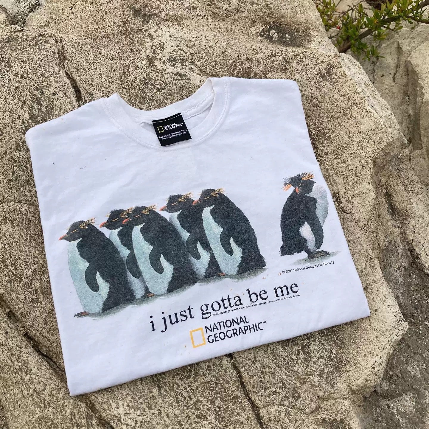 I just gotta be me shirt